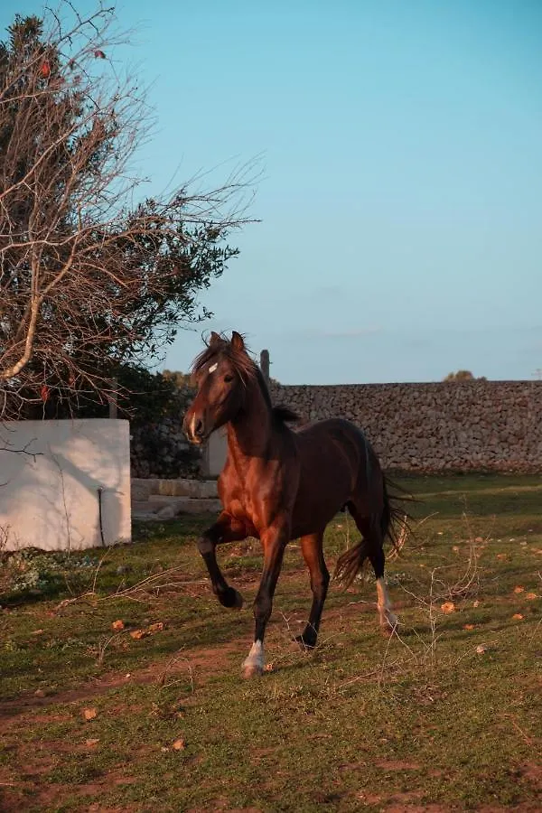 Agroturismo Son Rosas Ciutadella  Ciutadella (Menorca)